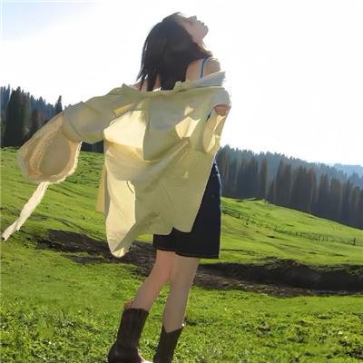 洛迪