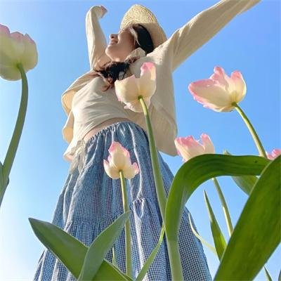 大内高手
